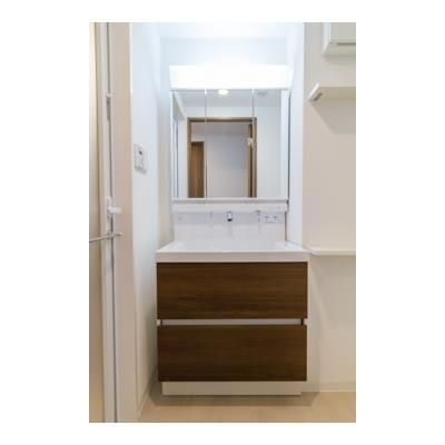 フェールメゾン菊川の洗面所