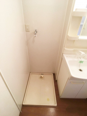 【玄関】 | アンバサダーヒルズ Ｄ | 洗濯機置き場