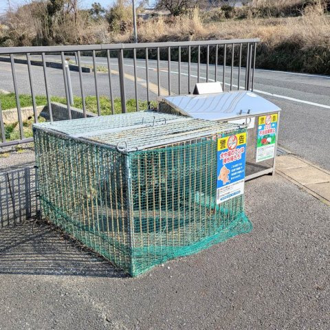 メゾン・ド・セリーヌ Ⅰのその他共用部分|ｺﾞﾐ回収