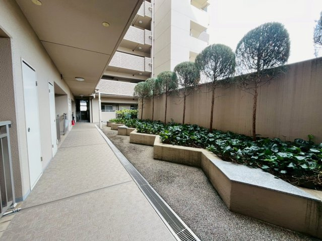 ネバーランド伏見丹波橋