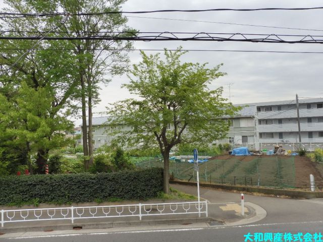 アートプラザの展望