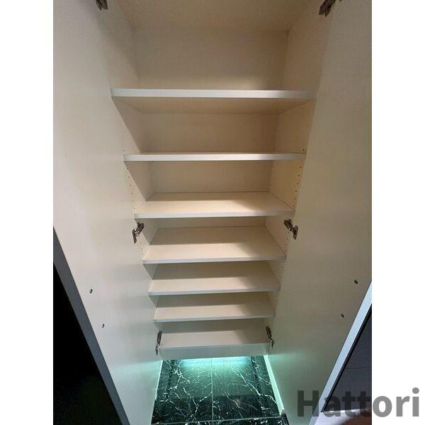 Lasante京橋(旧:エスティメゾン京橋)の収納