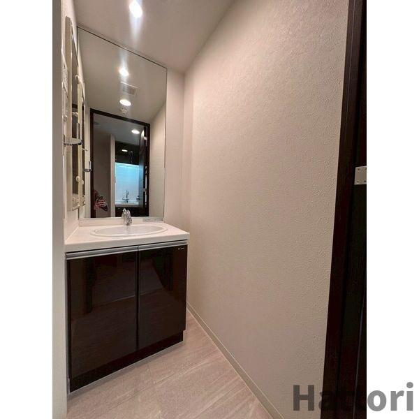 Lasante京橋(旧:エスティメゾン京橋)の洗面所