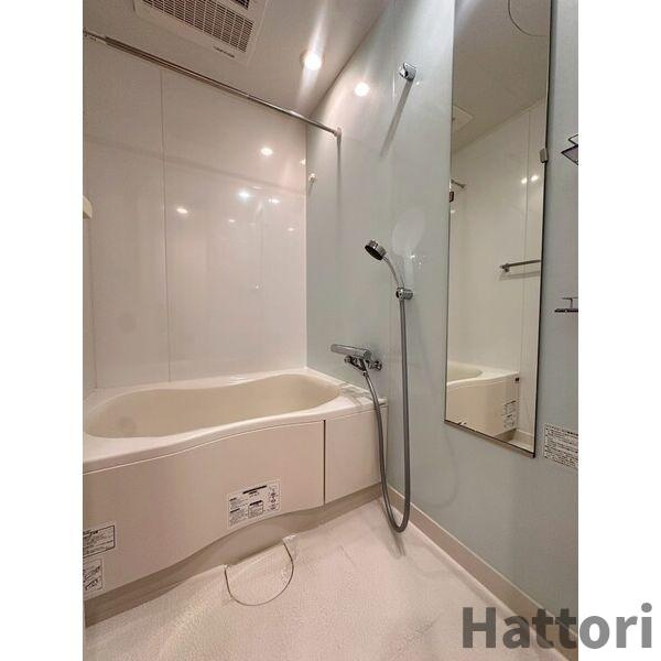 Lasante京橋(旧:エスティメゾン京橋)の浴室