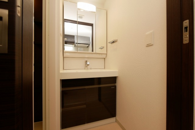 エステムコート難波WEST-SIDE Vアジュールの洗面所