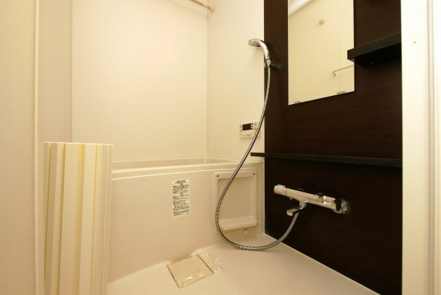 エステムコート難波WEST-SIDE Vアジュールの浴室