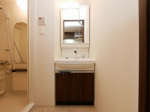 プレサンスOSAKA DOMECITYスクエアの洗面所