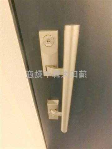 ハーモニーレジデンス蒲田アートヴィラの玄関