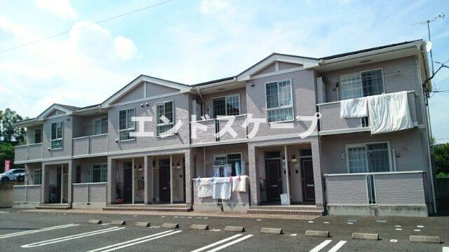 ヴァイオレットＢ