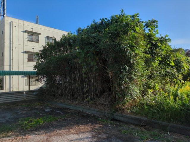 九十九里町粟生　土地