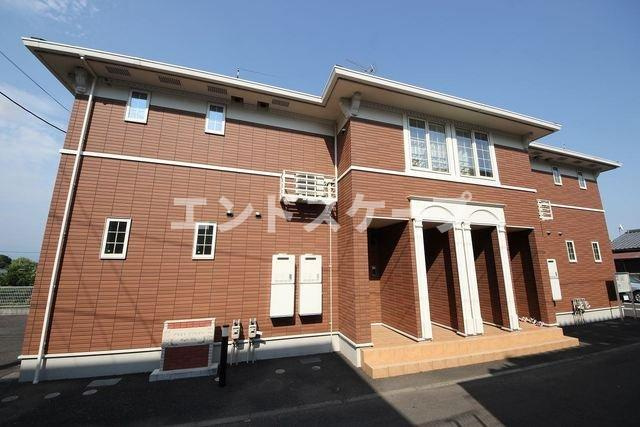 ブライト　ソフトリー