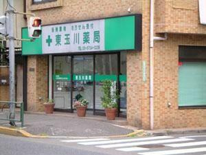 東玉川薬局まで165m