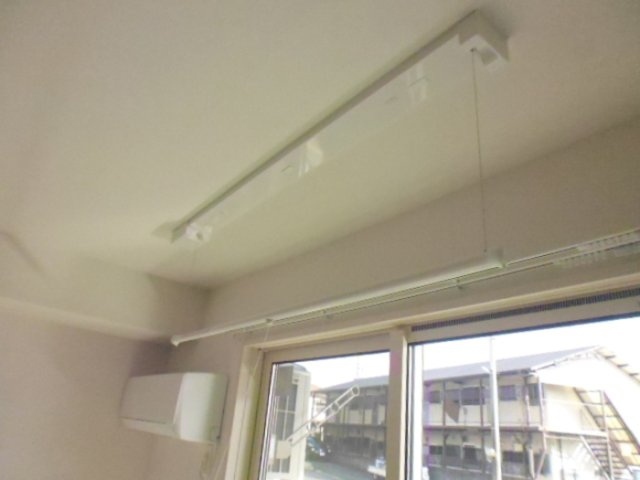 プリムローズのその他