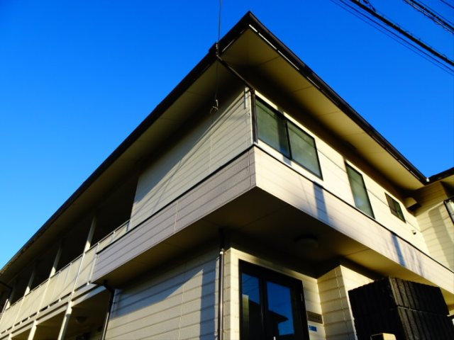 パレスのばら