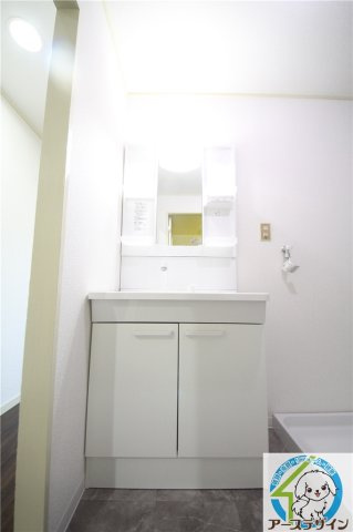 ハイツマコーレの洗面所