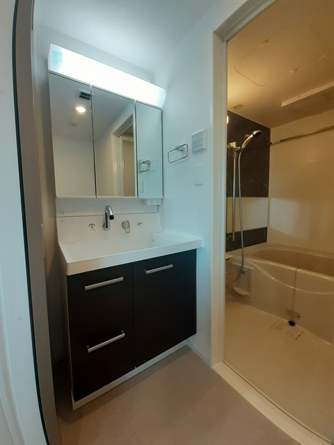 ブルーセブンの洗面所