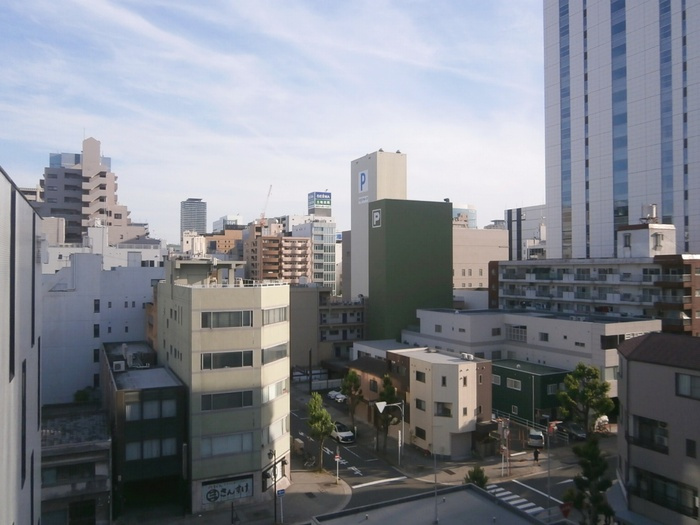 ウイステリア名城の展望