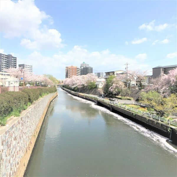 プレミアム黒川