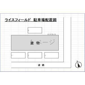 ライスフィールドの地図