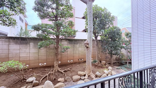 ★仲介手数料無料★ソブリン洗足(20帖以上の広いLDKが欲しいかたにお勧めです）の庭