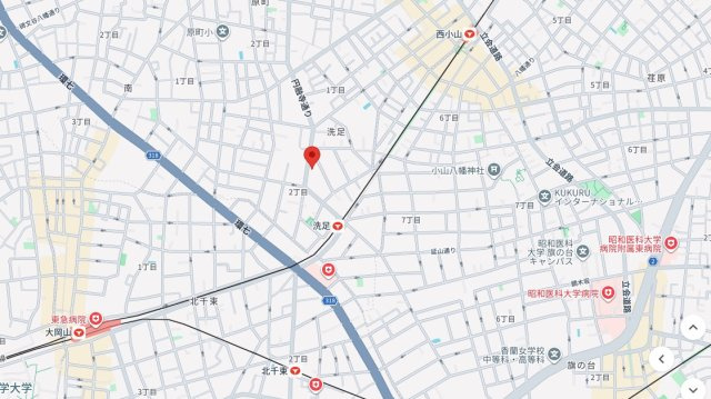★仲介手数料無料★ソブリン洗足(20帖以上の広いLDKが欲しいかたにお勧めです）の地図