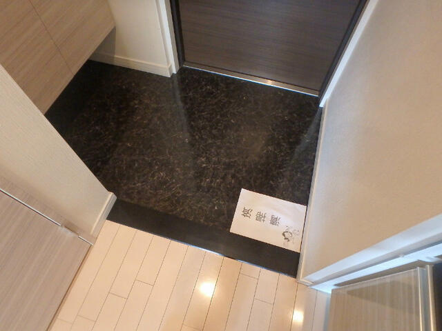 アドバンス西梅田Ⅱの玄関