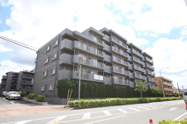 メゾンゴールドの画像