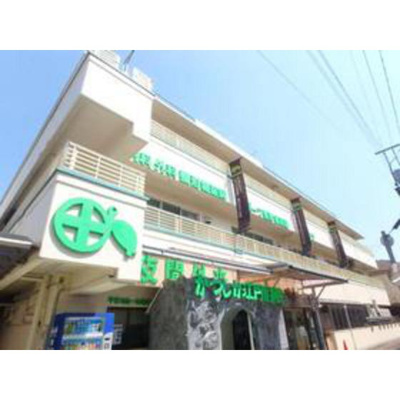 【周辺】 | サニーハイム | 病院「かつしか江戸川病院まで571ｍ」かつしか江戸川病院