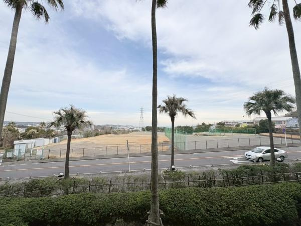 エステ・シティ湘南六浦壱番館のその他|洋室のバルコニーから見た眺望です！少し南国風な雰囲気が感じられますね。