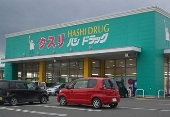 【周辺】 | フランメゾン大森 | ハシドラッグ南福島店まで700m