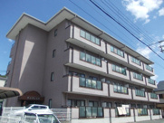 サングレイスの画像