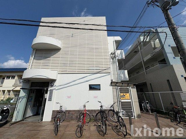 シロハイヌの外観