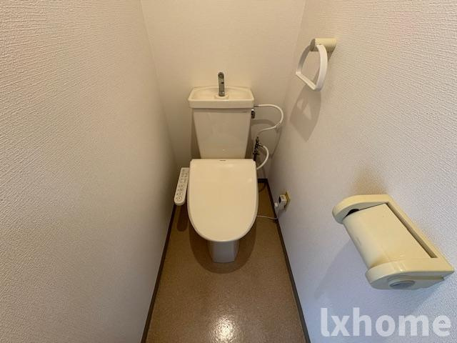 シロハイヌのトイレ