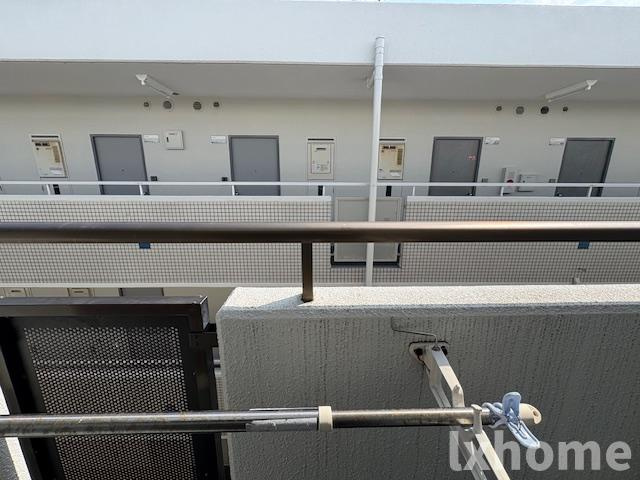 シロハイヌの展望