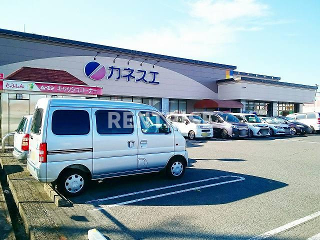カームパインツリー２１　Ｂのその他|その他