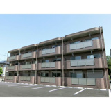 Y＆M　彩の画像