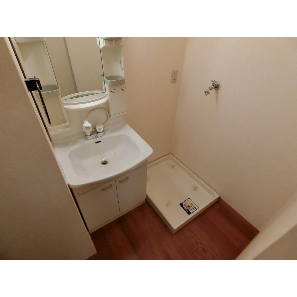 メゾンドゥ長瀬の洗面所