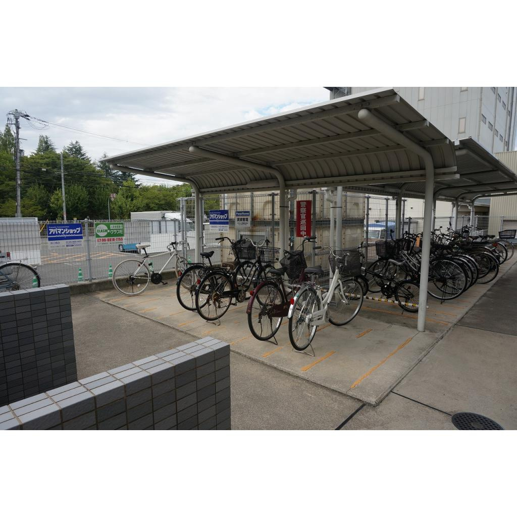 パトラ・Ｙのその他