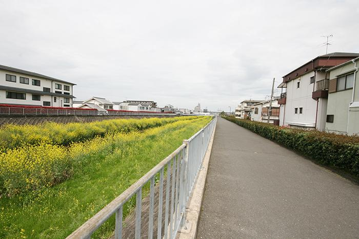 リリーフの周辺