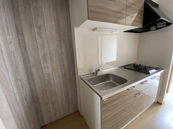 Graceful VIのキッチン