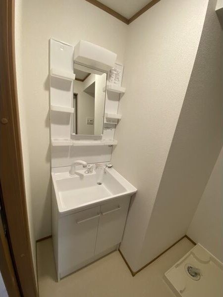 Graceful VIの洗面所