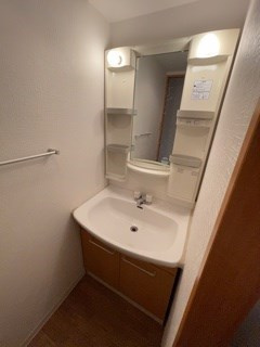甲南タマタニマンションの洗面所