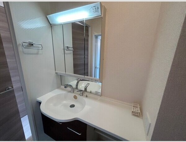 カメリア・ウサの洗面所