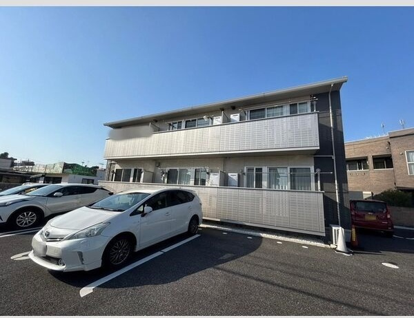 カメリア・ウサ