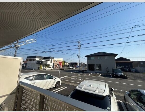 カメリア・ウサの展望