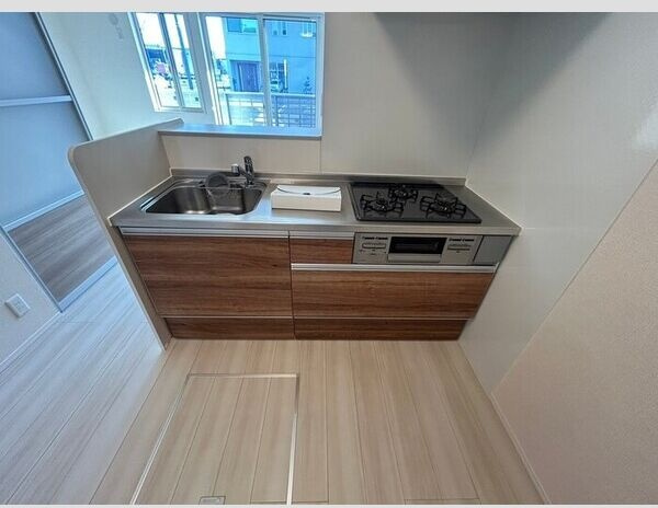 カメリア・ウサのキッチン