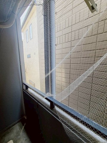 ドール甲子園口の展望