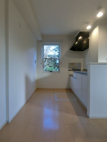 プリンセチア　Ⅱのキッチン