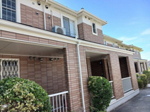 サザン　クロスの画像