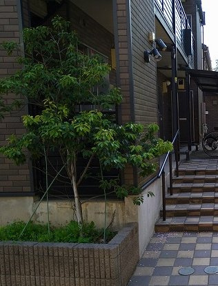 レオネクストソレイユ日吉